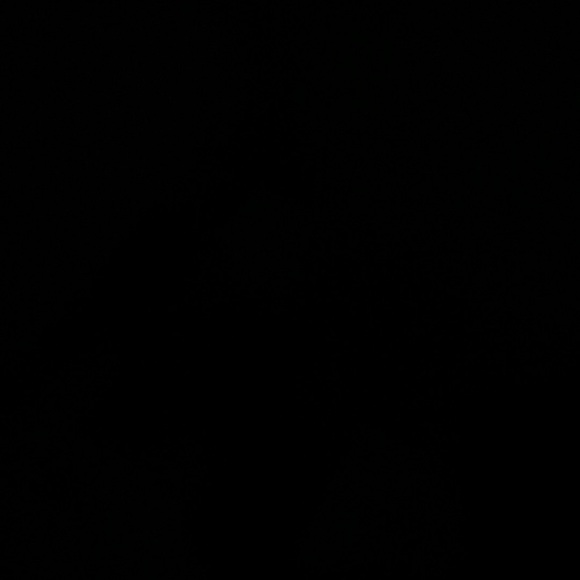 Meet your Posher, Kendra - Picture 1 of 1